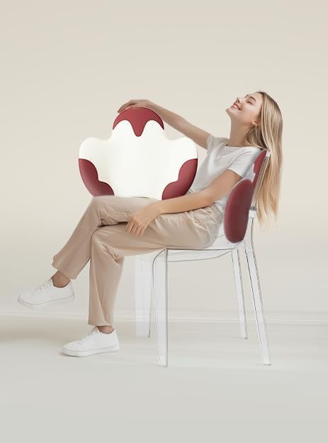 Lumbar Support Pillow for Office Chair, Car Back Support with Memory Foam, Support for Lower Back Pain Relief Lumbar Pillows, Ergonomic Back Cushion for Desk Chair, Sofa, Bed, Car Seat (Red/White)