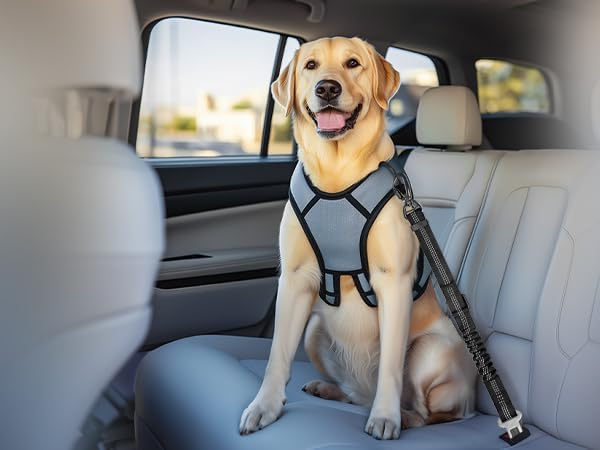 Dog Seat Belt for Car, Dog Car Harness Dog Seatbelt in Car, Safety Leash with Woven Elastic Nylon Buffer Adjustable Rotating Buckle and Dog Poop Bags (19.6-31.5in, Black,Two Pack)