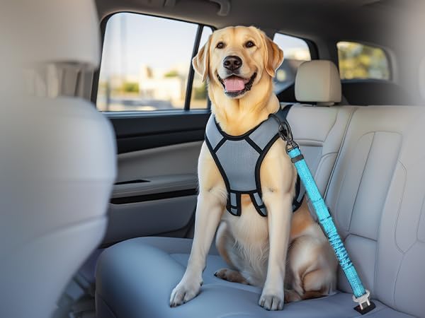 Dog Seat Belt for Car, Dog Car Harness Dog Seatbelt in Car, Safety Leash with Woven Elastic Nylon Buffer Adjustable Rotating Buckle and Dog Poop Bags (19.6-31.5in, Blue,Two Pack)
