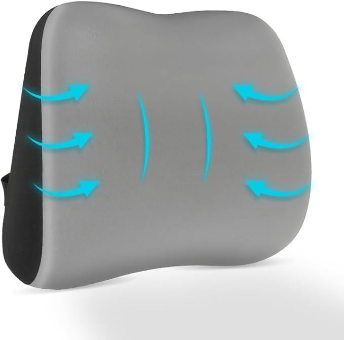Panduo Lumbar Support Pillow for Office Chair, Memory Foam Lumbar Pillow for Lower Back Pain Relief - Black (xiaoyaokaoGrey)