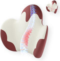 Lumbar Support Pillow for Office Chair, Car Back Support with Memory Foam, Support for Lower Back Pain Relief Lumbar Pillows, Ergonomic Back Cushion for Desk Chair, Sofa, Bed, Car Seat (Red/White)