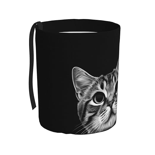 Funny Cat Black Car Trash Can Garbage Cans Foldable,Cute Hanging Car Organizer and Storage Bag Leak Proof, Auto Back Seat Trash Bin Universal for Truck, SUV, Outdoor Travel