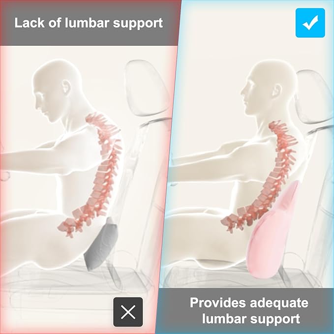Lumbar Support Pillow for Office Chair, Car Back Support with Memory Foam, Support for Lower Back Pain Relief Lumbar Pillows, Ergonomic Back Cushion for Desk Chair, Sofa, Bed, Car Seat (Pink)