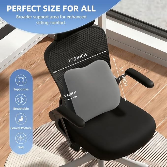 Panduo Lumbar Support Pillow for Office Chair, Memory Foam Lumbar Pillow for Lower Back Pain Relief - Black (xiaoyaokaoGrey)