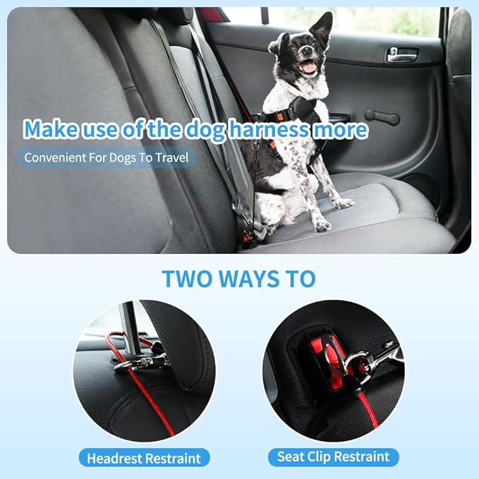 Mi Metty Dog Seat Belt Harness for Car,2pcs Dog Seatbelt of Coated Wire Leash Safety Restraint,No Chew Tether Cable Vehicle Dog Accessories,Double Clips & Latch (2 Pack Red+Blue, 24 inch/60 CM)