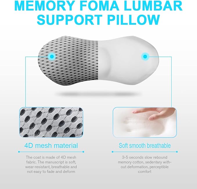 Panduo Lumbar Support Pillow for Office Chair, Memory Foam Lumbar Pillow for Lower Back Pain Relief (Grey)