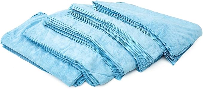 The Rag Company - Car Wash Towel - Professional Microfiber Auto Detailing and Drying Towels, Lint-Free, Streak-Free, Great for General Cleaning, 320gsm, 16in x 27in, Light Blue (Wholesale Case of 125)
