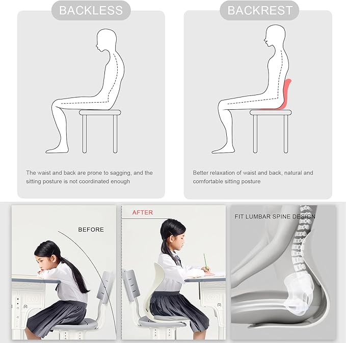 Posture Support Cushion - Lumbar & Back Support for Office Chair, Car Seat, Sofa, Ergonomic Chair & Back Cushion Back Support (03)