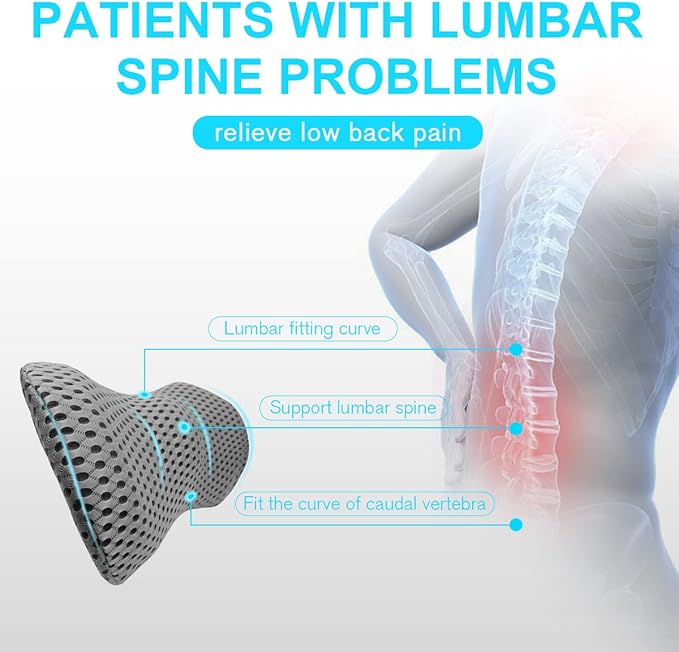 Panduo Lumbar Support Pillow for Office Chair, Memory Foam Lumbar Pillow for Lower Back Pain Relief (Grey)