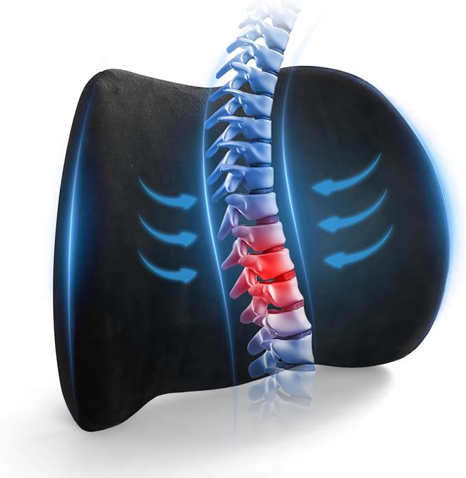 Dijialun Lumbar Support Pillow for Car, Memory Foam Back Support Lumbar Pillow for Car, Gaming, Office Chair, Ergonomic for Lower Back Pain Relief, Comfortable and Soft Fabric, Black