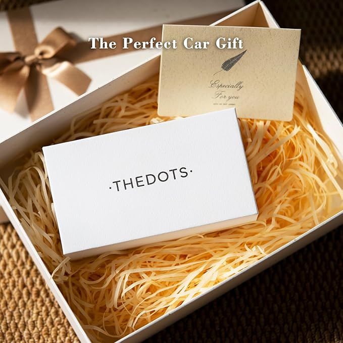 THEDOTS Silver Car Air Freshener, Frosted Ebony Scent, Solid Metal Fragrance, Odor Eliminator Auto Accessories for Men Gift