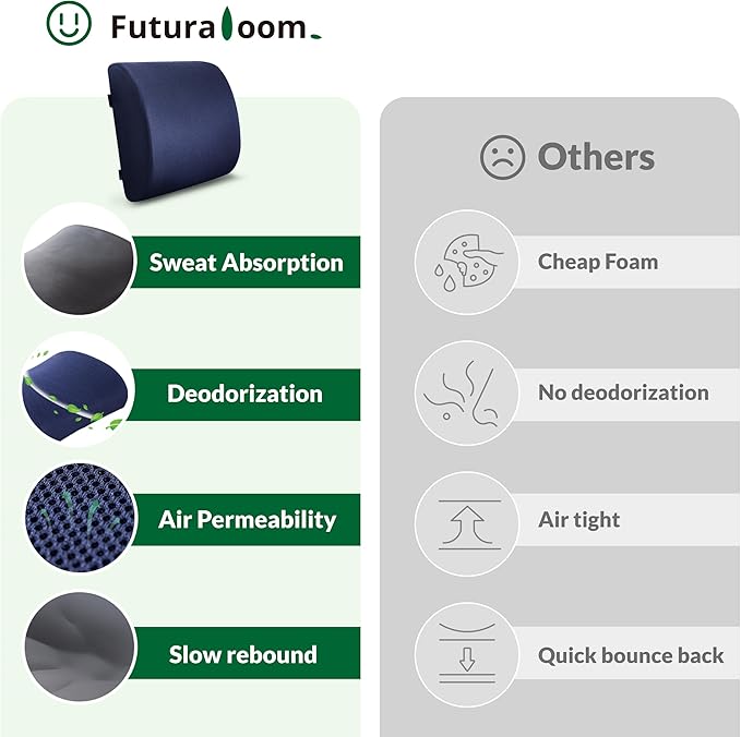 FuturaLoom Back Support Pillow for Office Chair and Car Seat,Lumbar Support for Office,Charcoal Memory Foam Back Cushion-Breathable Mesh Cover,Double Adjustable Straps,Dark Blue