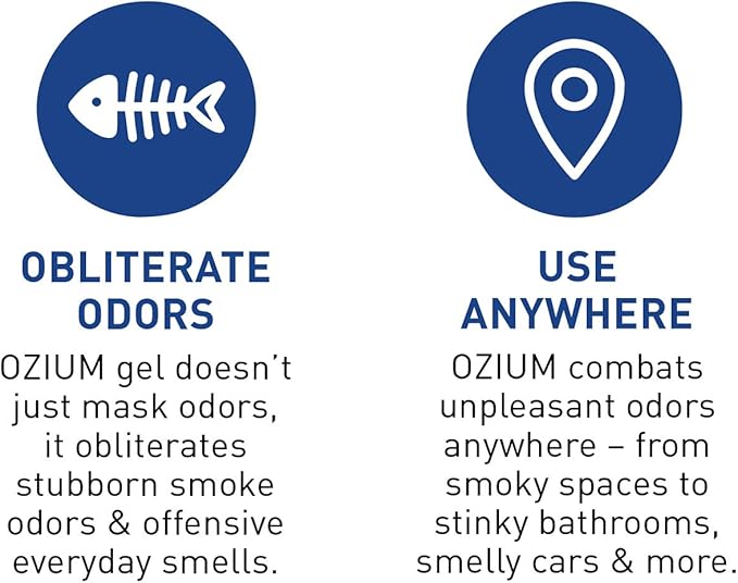 Ozium 4.5 Oz. 1 Pack Odor Eliminating Gel for Homes, Cars, Offices and More, Outdoor Essence