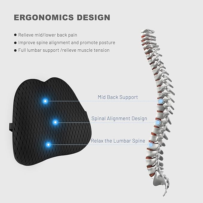 Lumbar Support Pillow for Car and Office Chair, Back Support Pillow for Car Seat, Memory Foam Back Cushion for Low Back Support and Pain Relief (Black)