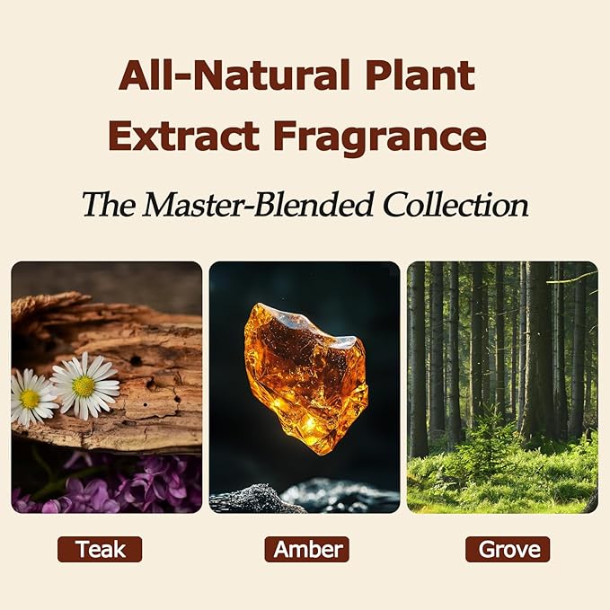 Car Air Freshener - Wood Air Freshener, Car Odor Absorber & Purifier, All Natural Plant Essential Oils,Long Lasting Scent, Pack of 3 (Teak-Amber-Grove)-CLIP INCLUDED
