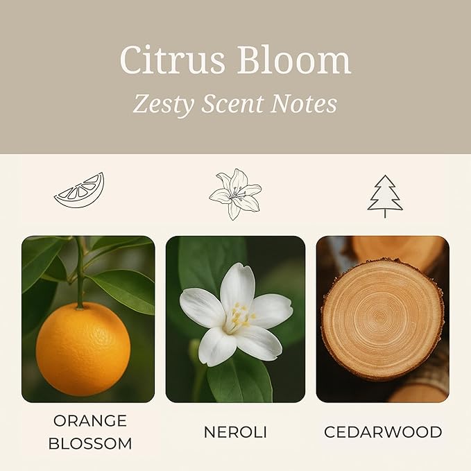 Aeris Car Fragrance Starter Kit - Includes Clip + Refillable Scent Stone (Citrus Bloom (Starter Kit))