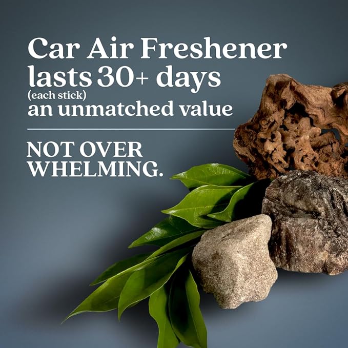 Enviroscent Non-Toxic Car Air Freshener (Coastal Storm & Teakwood) Natural Car Air Freshener | Essential Oil Diffuser | Car Scent Lasting Over 180 Days | 3 Packs of 2 Hanging Auto Stix