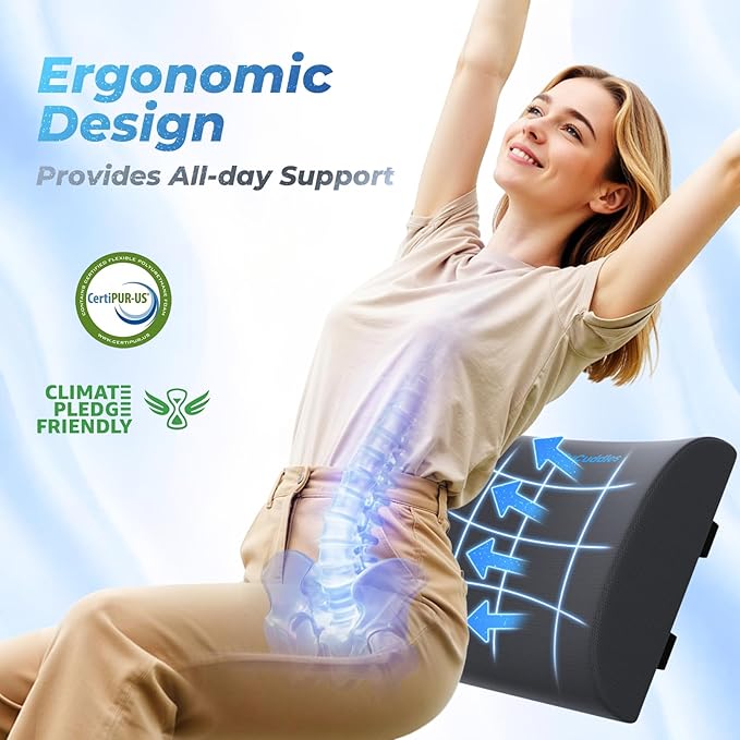 DailyCuddles Lumbar Support Pillow for Office Chair Back Support - Memory Foam Lumbar Pillow for Car or Gaming Chair, Ergonomic Back Cushion with Adjustable Strap for Long-Hour Sitting (Grey,X-Large)