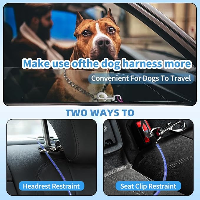 Dog Seat Belt Harness for Car,Dog Seatbelt of Coated Wire Leash Safety Restraint,No Chew Tether Cable Vehicle Dogs Accessories,Double Clips & Latch (Blue, 24 inch/60 CM)