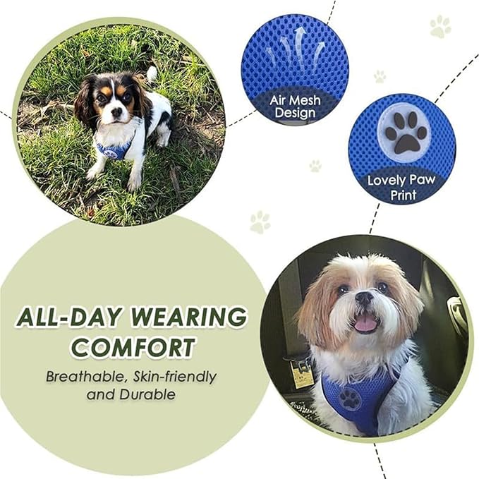 Lukovee Dog Seat Belt for Car, Adjustable Dog Car Harness for Large Medium Small Dogs, Soft Padded & Breathable Mesh Dog Seatbelt with Car Vehicle Connector Strap (Blue,XXX-Small)