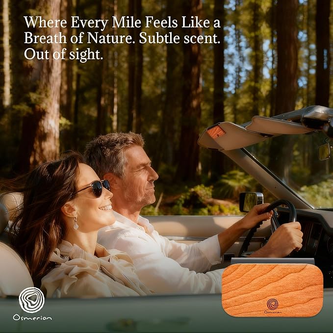 Car Air Freshener - Wood Air Freshener for Visor Clip - Long Lasting Car Odor Eliminator - Vehicle Scent Diffuser - Variety Scent Refill (2 Packs Refill, Sandalwood, NO CLIP)