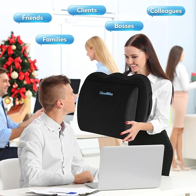 CloudBliss Lumbar Support Pillow & Seat Cushion Set for Office Chair, Desk Chair, Wheelchair & Car – Memory Foam Back Support, Ergonomic Chair Cushions, Sciatica Pain Relief, Home Essentials, Black