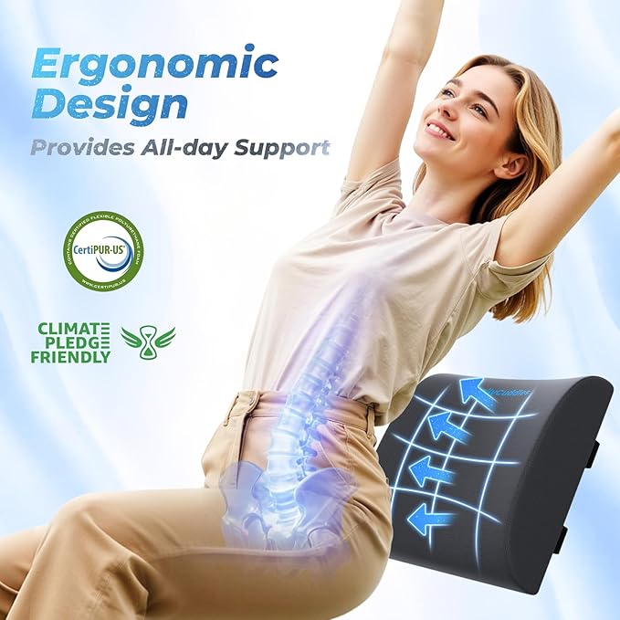DailyCuddles Lumbar Support Pillow for Office Chair Back Support - Memory Foam Lumbar Pillow for Car or Gaming Chair, Ergonomic Back Cushion with Adjustable Strap for Long-Hour Sitting (Grey)