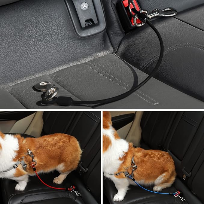 Mi Metty Dog Seat Belt Harness for Car,2pcs Dog Seatbelt of Coated Wire Leash Safety Restraint,No Chew Tether Cable Vehicle Dog Accessories,Double Clips & Latch (2 Pack Red+Blue, 16 inch/40 CM)