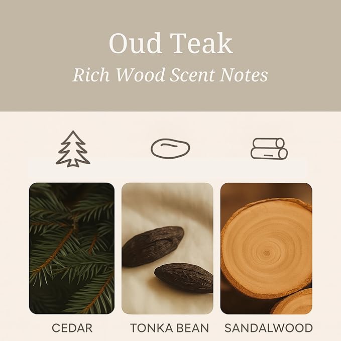 Aeris Car Fragrance Starter Kit - Includes Clip + Refillable Scent Stone (Oud Teak (Starter Kit))