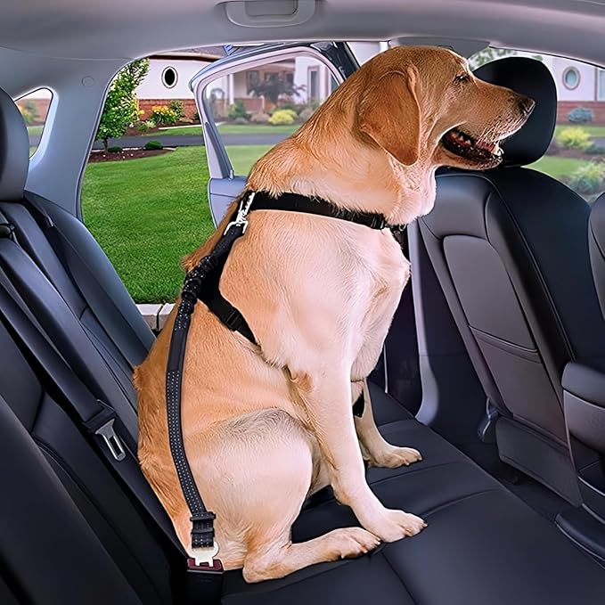 Aerkersun Dog Seat Belt for Car - Adjustable Dog Car Safety Harness, Elastic Cushioning Seatbelt Leash, Reinforced Metal Buckle Anti-Tangle Design, for Small and Medium Pets (Orange)