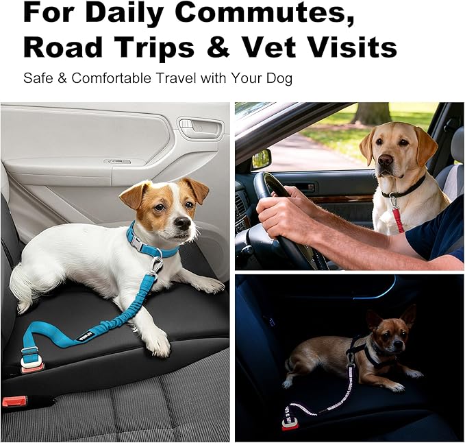 APakBak Dog Seat Belt for Car, Adjustable Dog Car Harness Seatbelt for Small Medium Large Dogs, Heavy Duty Travel Safety Restraint with Locking Aluminum Hook & Reflective Nylon Strap, Light Blue