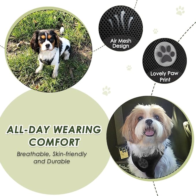 Lukovee Dog Seat Belt - Adjustable Dog Car Harness for Large, Medium & Small Dogs, Soft Padded & Breathable Mesh Dog Seatbelt with Car Vehicle Connector Strap (Black Double Clip, XX-Small)