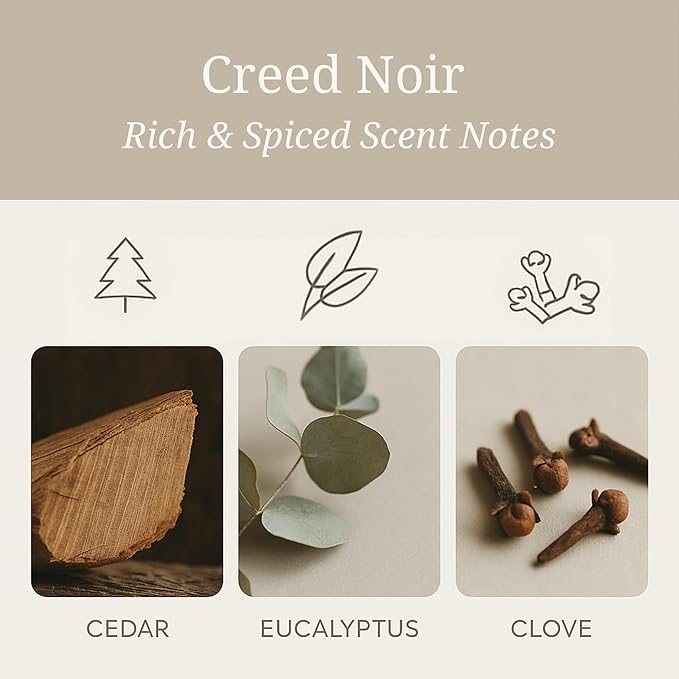 Aeris Car Fragrance Starter Kit - Includes Clip + Refillable Scent Stone (Creed Noir (Starter Kit))