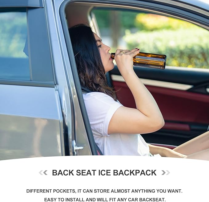 Car Seat Back Cooler Bag Insulated Ice Backpack Hanging Organizer for Backseat Storage Travel and Outdoor Use Black