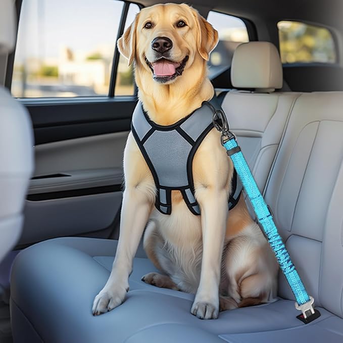Dog Seat Belt for Car, Dog Car Harness Dog Seatbelt in Car, Safety Leash with Woven Elastic Nylon Buffer Adjustable Rotating Buckle and Dog Poop Bags (19.6-31.5in, Blue)