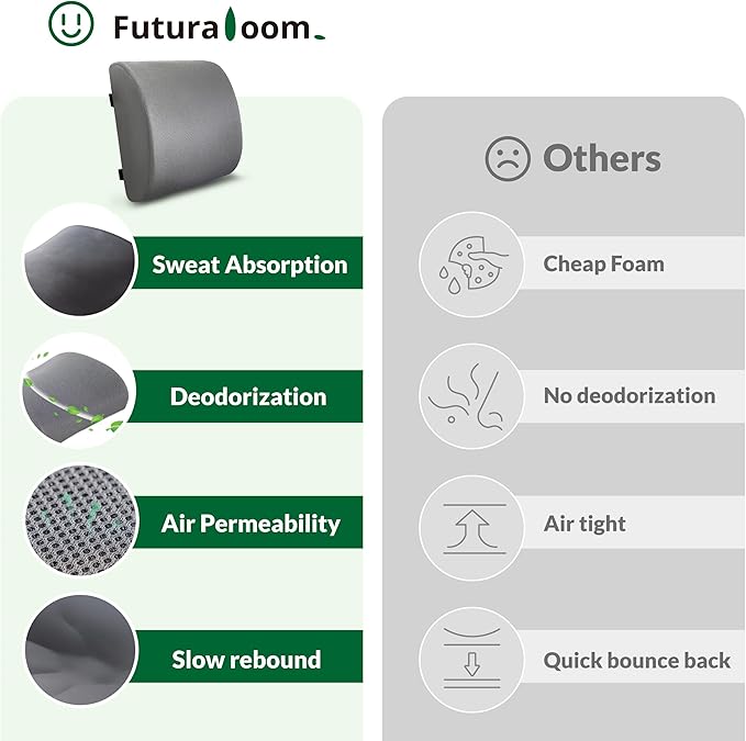 FuturaLoom Lumbar Support Pillow for Office Chair and Car,Back Support for Office Chair,Charcoal Memory Foam Back Cushion with Breathable Mesh Cover,Double Adjustable Straps,Grey