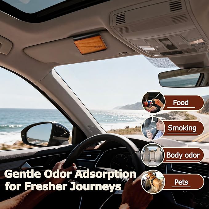 Car Air Freshener - Wood Air Freshener, Car Odor Absorber & Purifier, All Natural Plant Essential Oils,Long Lasting Scent, Pack of 3 (Teak-Amber-Grove)-CLIP INCLUDED