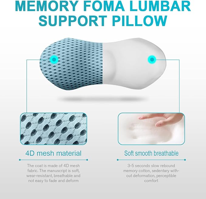 Panduo Lumbar Support Pillow for Office Chair, Memory Foam Lumbar Pillow for Lower Back Pain Relief - Black (Blue)