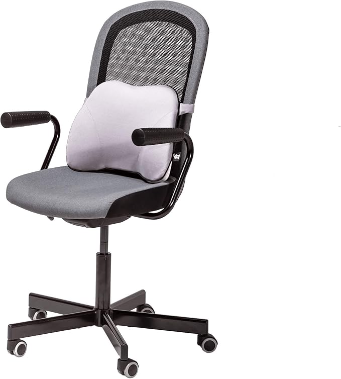 Castle Squire Firm Memory Foam Lower Back Backrest - Dense Foam Padding Lumbar Support Pillow for Home, Office, Auto, and Travel (Squire Size, Bone)