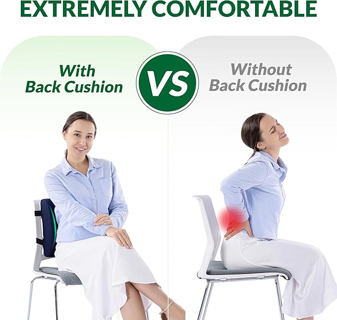 FuturaLoom Back Support Pillow for Office Chair and Car Seat,Lumbar Support for Office,Charcoal Memory Foam Back Cushion-Breathable Mesh Cover,Double Adjustable Straps,Dark Blue