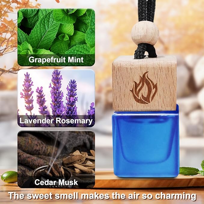 Car Air Freshener Hanging 2 Pack, Cologne Fragrance Long Lasting Car Scent Essential Oil Diffuser, Car Accessories Air Diffuser for Men