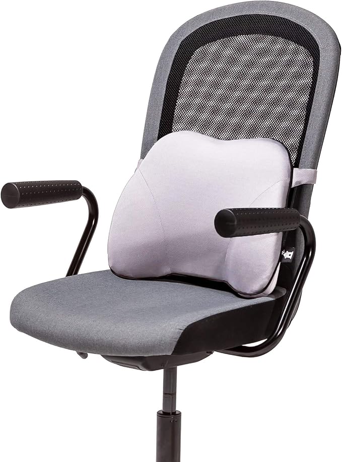Castle Squire Firm Memory Foam Lower Back Backrest - Dense Foam Padding Lumbar Support Pillow for Home, Office, Auto, and Travel (Squire Size, Bone)