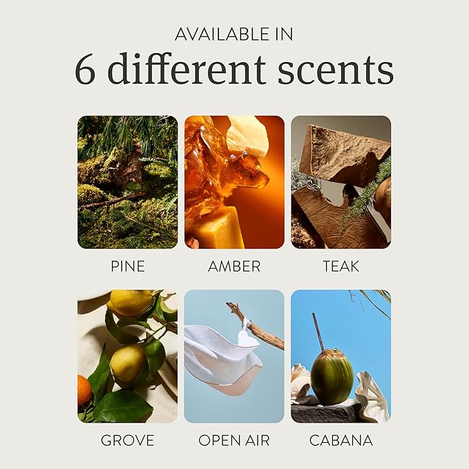 Drift Metal Vent Clip Starter Kit - Car Air Freshener - Scent Diffuser for Car - Metal Odor Eliminator - Pine
