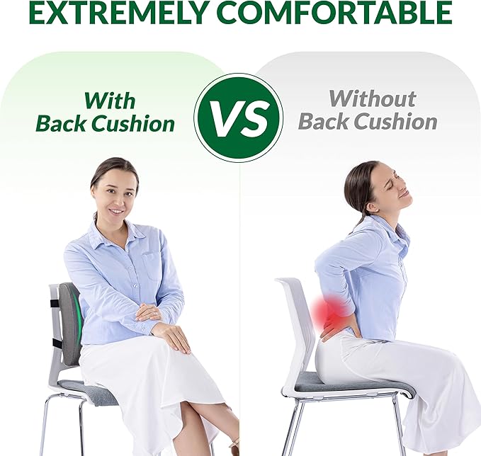 FuturaLoom Lumbar Support Pillow for Office Chair and Car,Back Support for Office Chair,Charcoal Memory Foam Back Cushion with Breathable Mesh Cover,Double Adjustable Straps,Grey