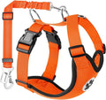 Lukovee Dog Seat Belt for Car, Adjustable Dog Car Harness for Large Medium Small Dogs, Soft Padded & Breathable Mesh Dog Seatbelt with Car Vehicle Connector Strap (Orange Double Clip,Large)
