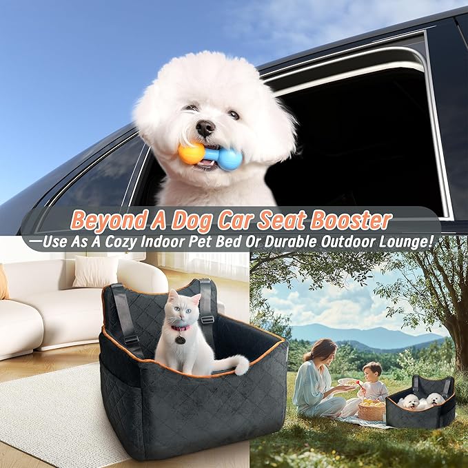 Dog Car Seat for Medium Sized Dogs 30 lbs, Safety Dog Booster Seat for Small Dogs Hooks to The Seatbelt & with Elevated Cushion, Waterproof Washable Travel Doggy Car Seat with Storage Pockets(Gray)