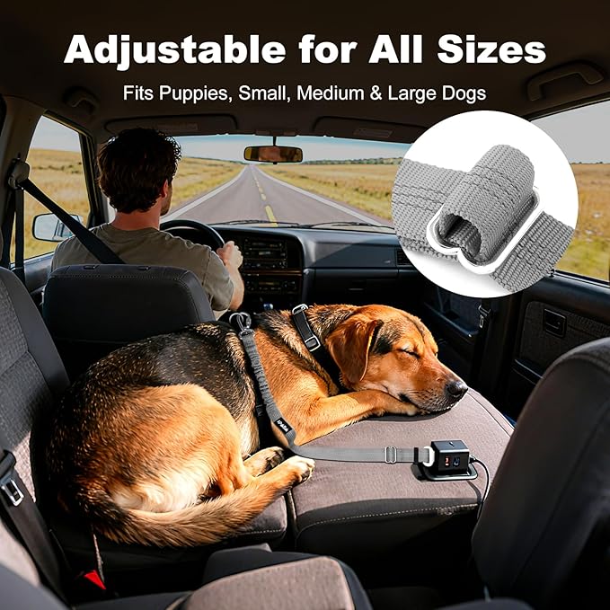 APakBak Dog Seat Belt for Car, Adjustable Dog Car Harness Seatbelt for Small Medium Large Dogs, Heavy Duty Travel Safety Restraint with Locking Aluminum Hook & Reflective Nylon Strap, Gray