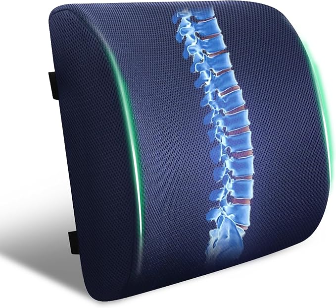 FuturaLoom Back Support Pillow for Office Chair and Car Seat,Lumbar Support for Office,Charcoal Memory Foam Back Cushion-Breathable Mesh Cover,Double Adjustable Straps,Dark Blue