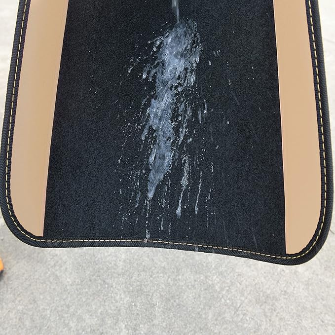 CAR PASS Waterproof Universal Fit Car Floor Mats, Car Mats Fit for SUV,Vans,sedans, Trucks,Set of 4pcs Car Carpet with Driver Heel Pad (Beige)