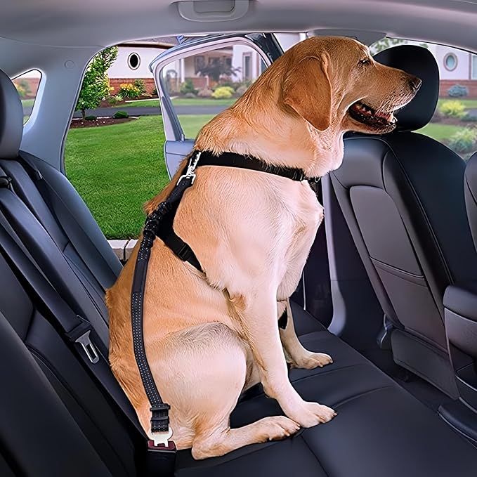 Aerkersun Dog Seat Belt for Car - Adjustable Dog Car Safety Harness, Elastic Cushioning Seatbelt Leash, Reinforced Metal Buckle Anti-Tangle Design, for Small and Medium Pets (Pink)